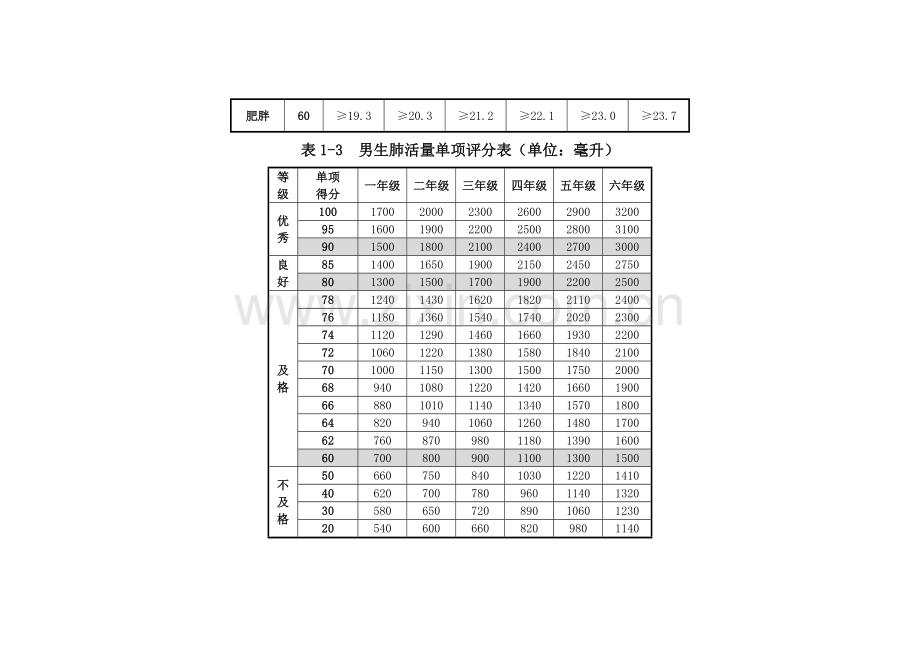 小学体质健康测试标准.doc_第2页