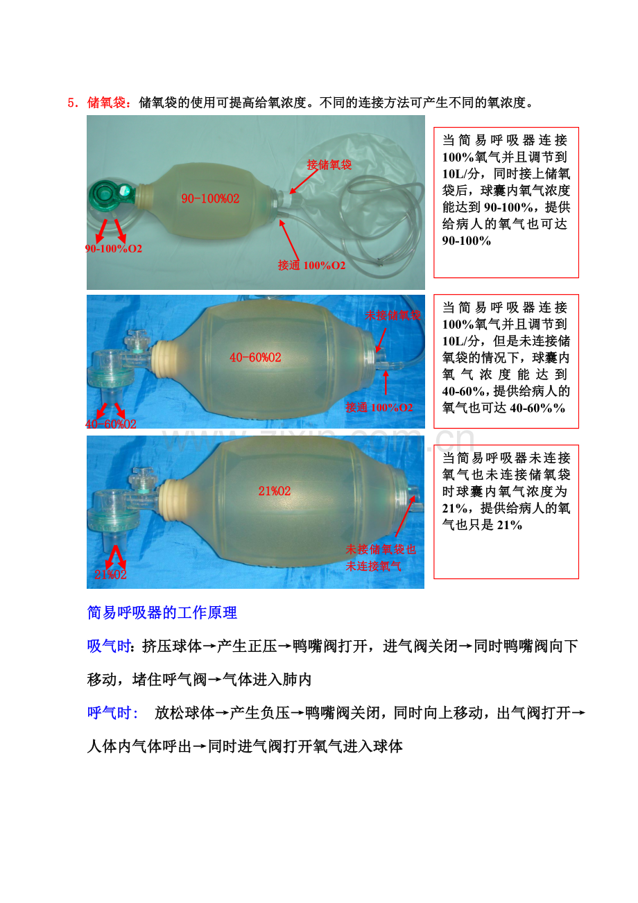 复苏球囊.doc_第2页