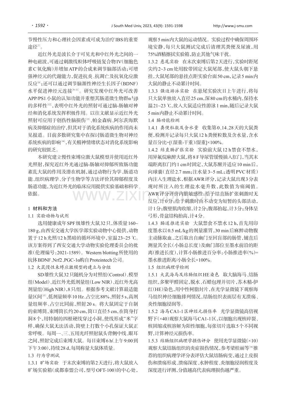 近红外光照射可显著改善大鼠抑郁所致的肠功能紊乱.pdf_第2页