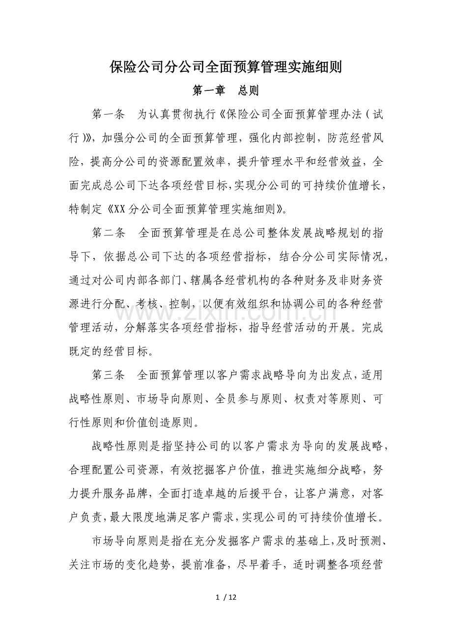 保险公司全面预算管理实施细则.docx_第1页