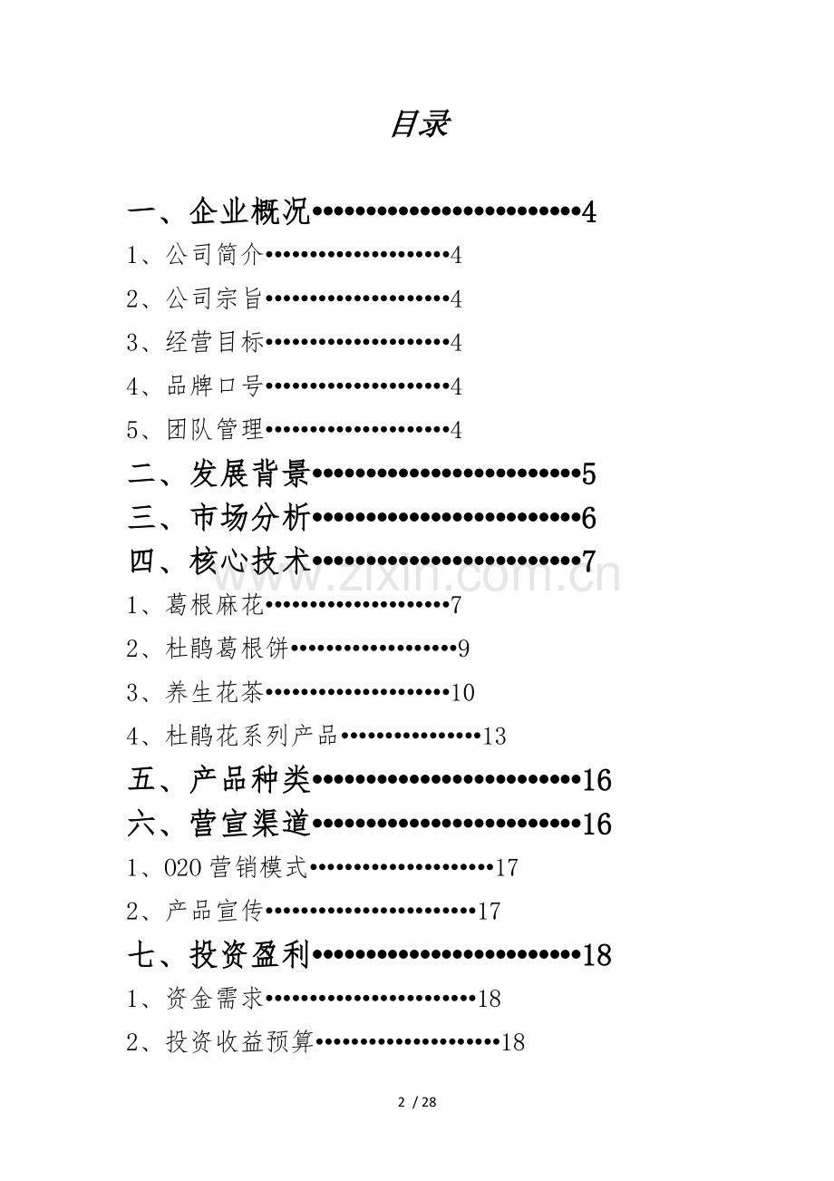 公司成立策划书(范文).doc_第2页