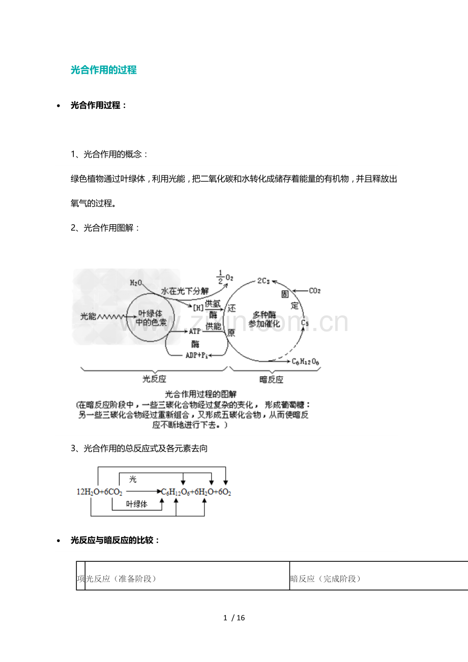 光合作用的过程.docx_第1页