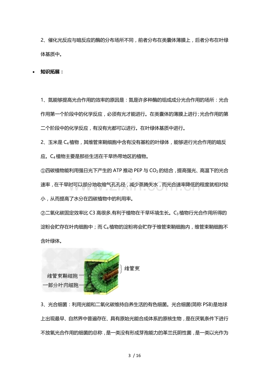 光合作用的过程.docx_第3页