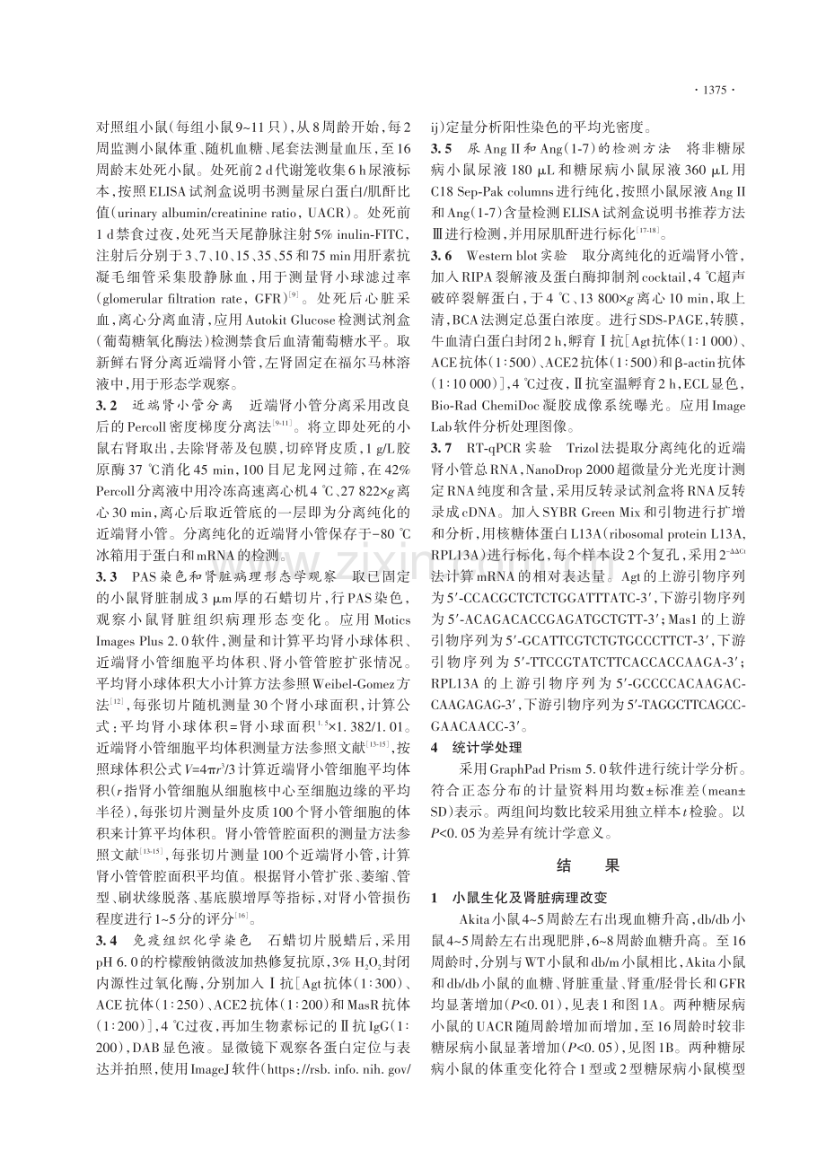 近端小管RAS功能轴在早期糖尿病小鼠肾脏中的变化.pdf_第3页