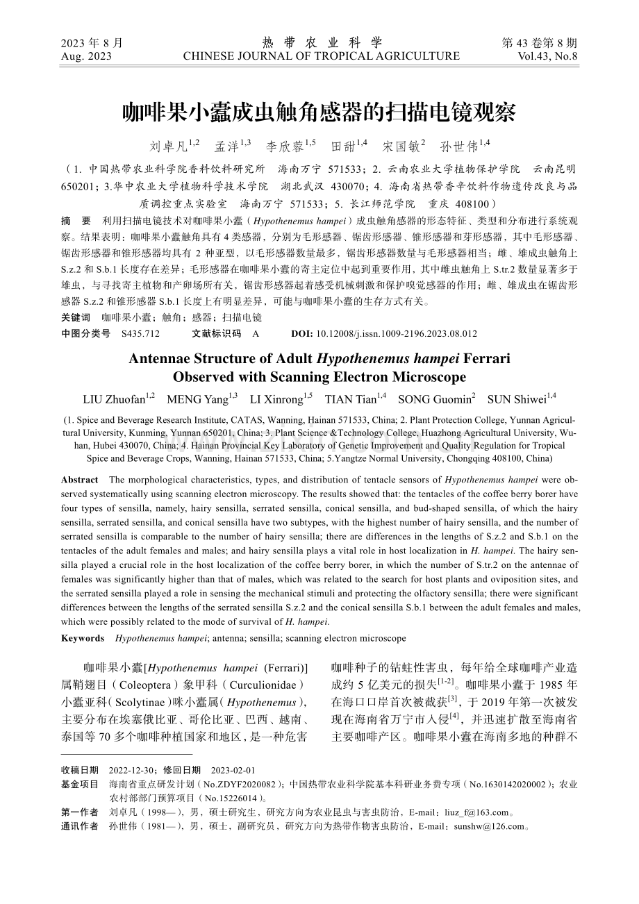 咖啡果小蠹成虫触角感器的扫描电镜观察.pdf_第1页