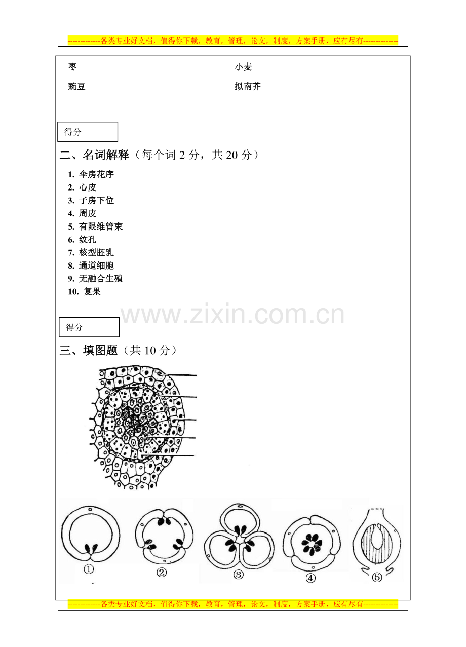 山东农业大学2009-2010第一学期植物生物学试卷B试题及准答案和评分标准.doc_第2页