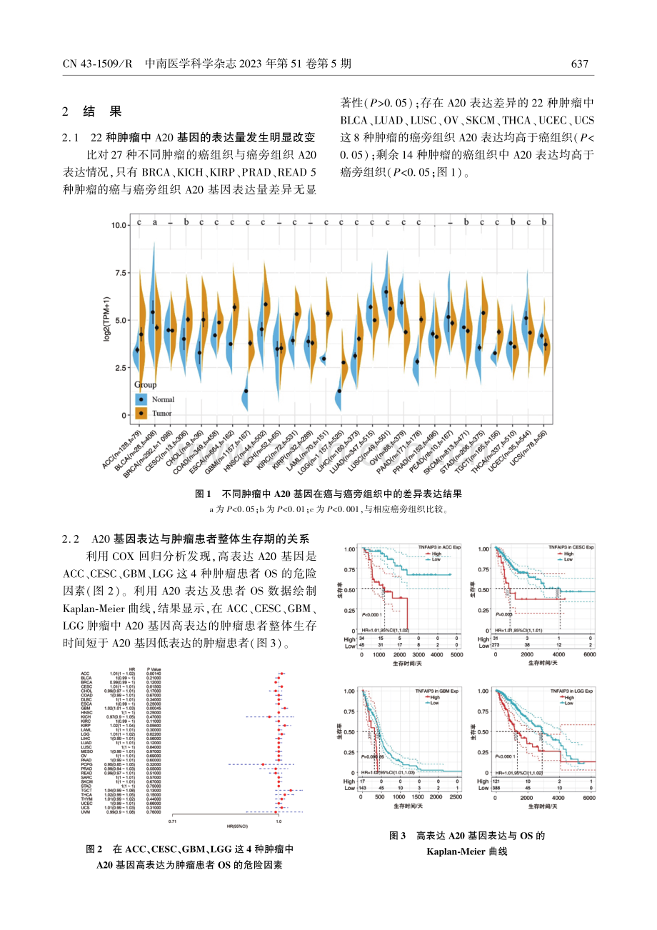 抗炎因子A20与肿瘤患者预后及免疫调节通路的泛癌分析.pdf_第3页