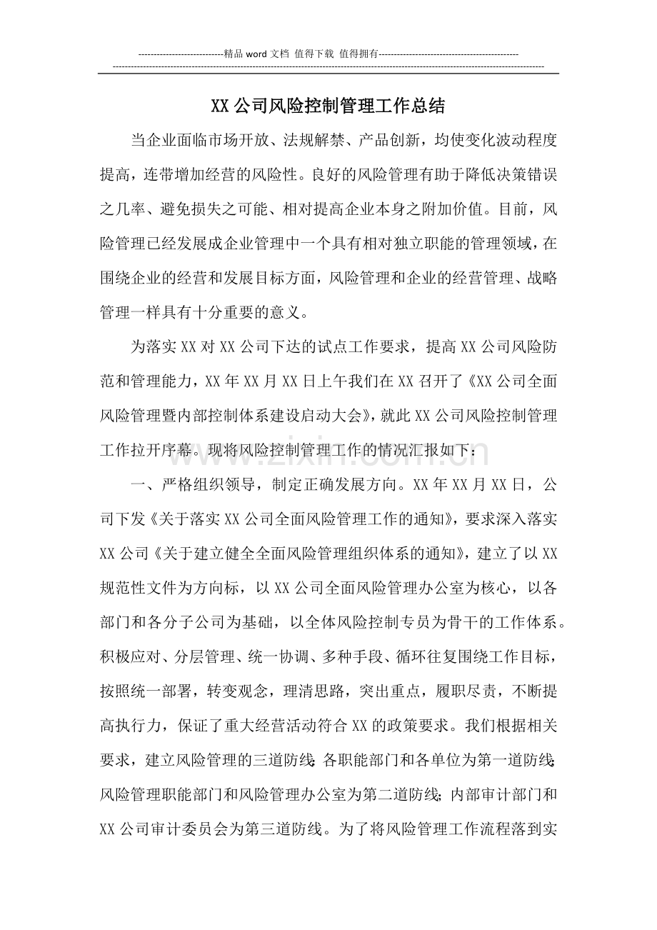 XX公司风险控制管理工作总结.docx_第1页