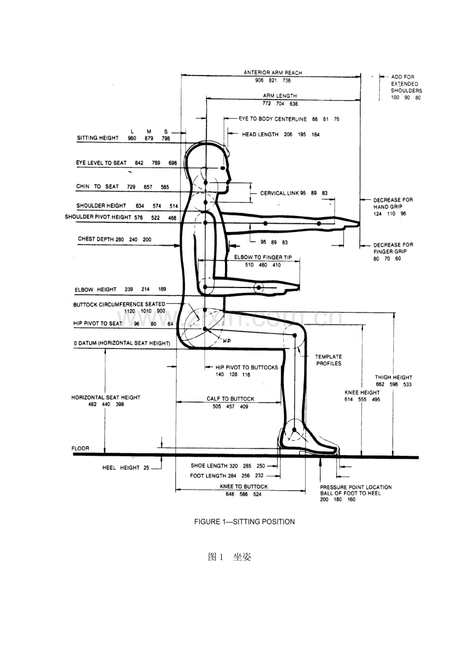 saej833美国假人尺寸标准.doc_第3页