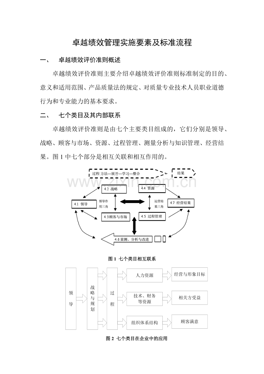 卓越绩效管理实施要素及标准流程.docx_第1页