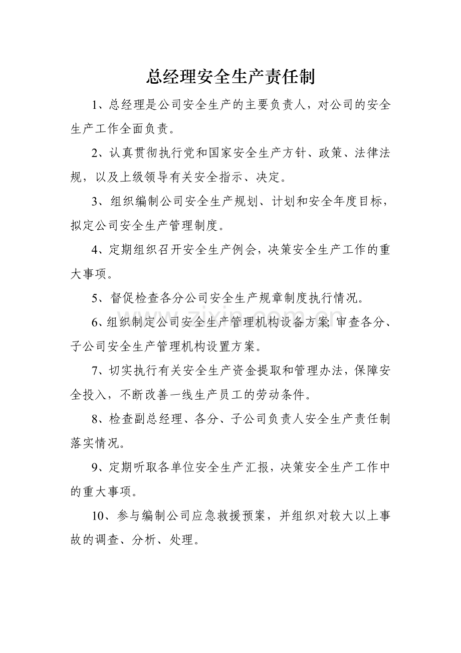 党委书记安全生产责任制(1).docx_第2页