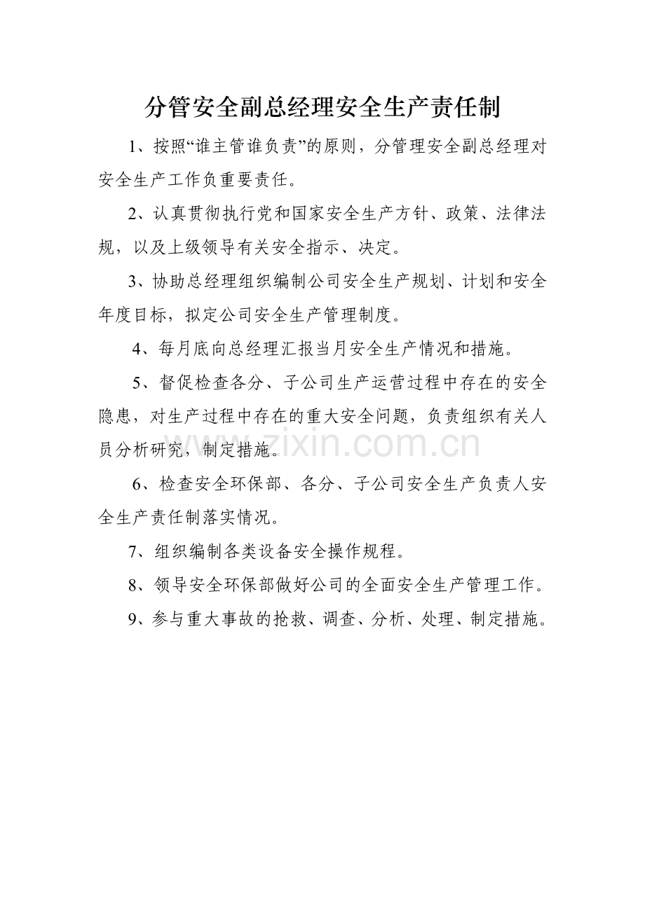 党委书记安全生产责任制(1).docx_第3页