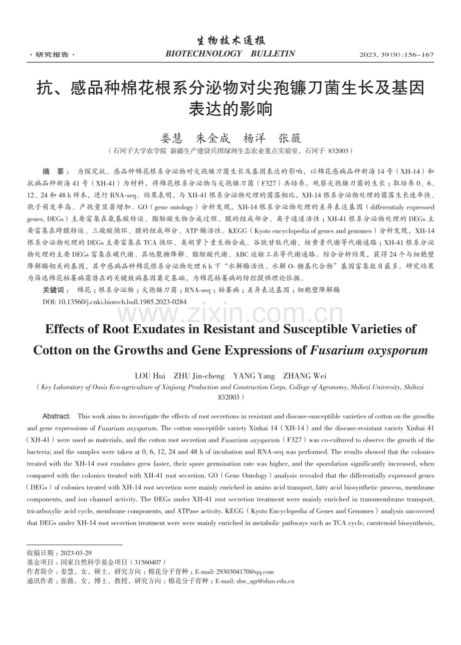 抗、感品种棉花根系分泌物对尖孢镰刀菌生长及基因表达的影响.pdf_第1页