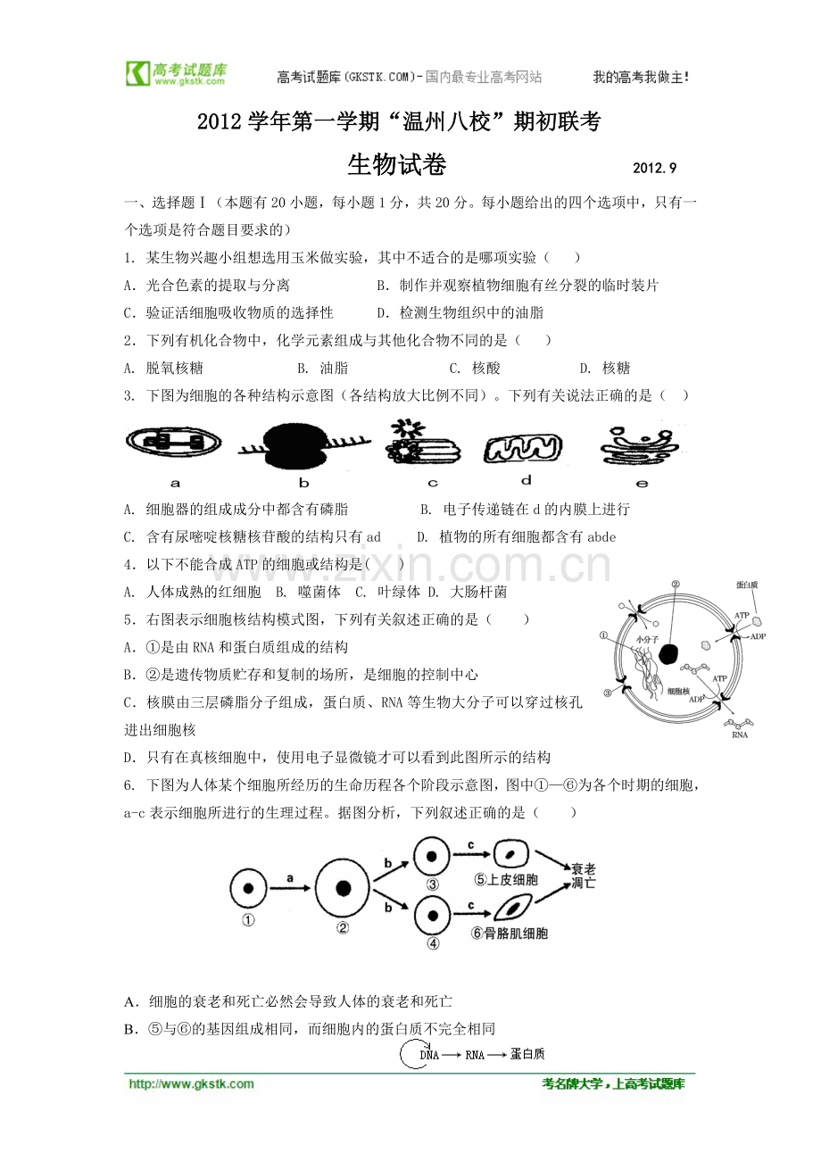 浙江省温州八校2013届高三9月期初联考生物试卷.doc_第1页