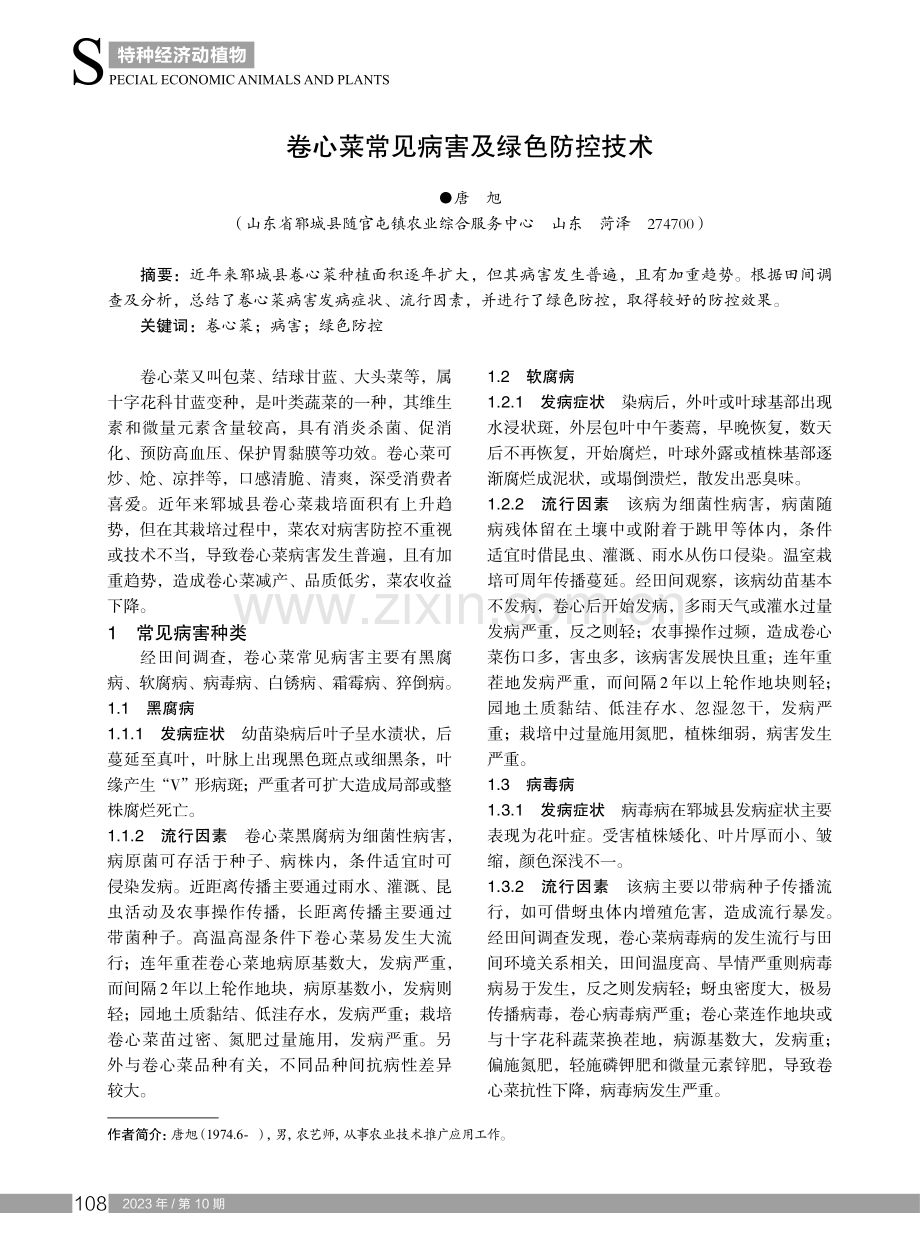 卷心菜常见病害及绿色防控技术.pdf_第1页