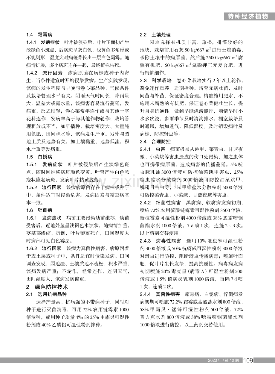 卷心菜常见病害及绿色防控技术.pdf_第2页