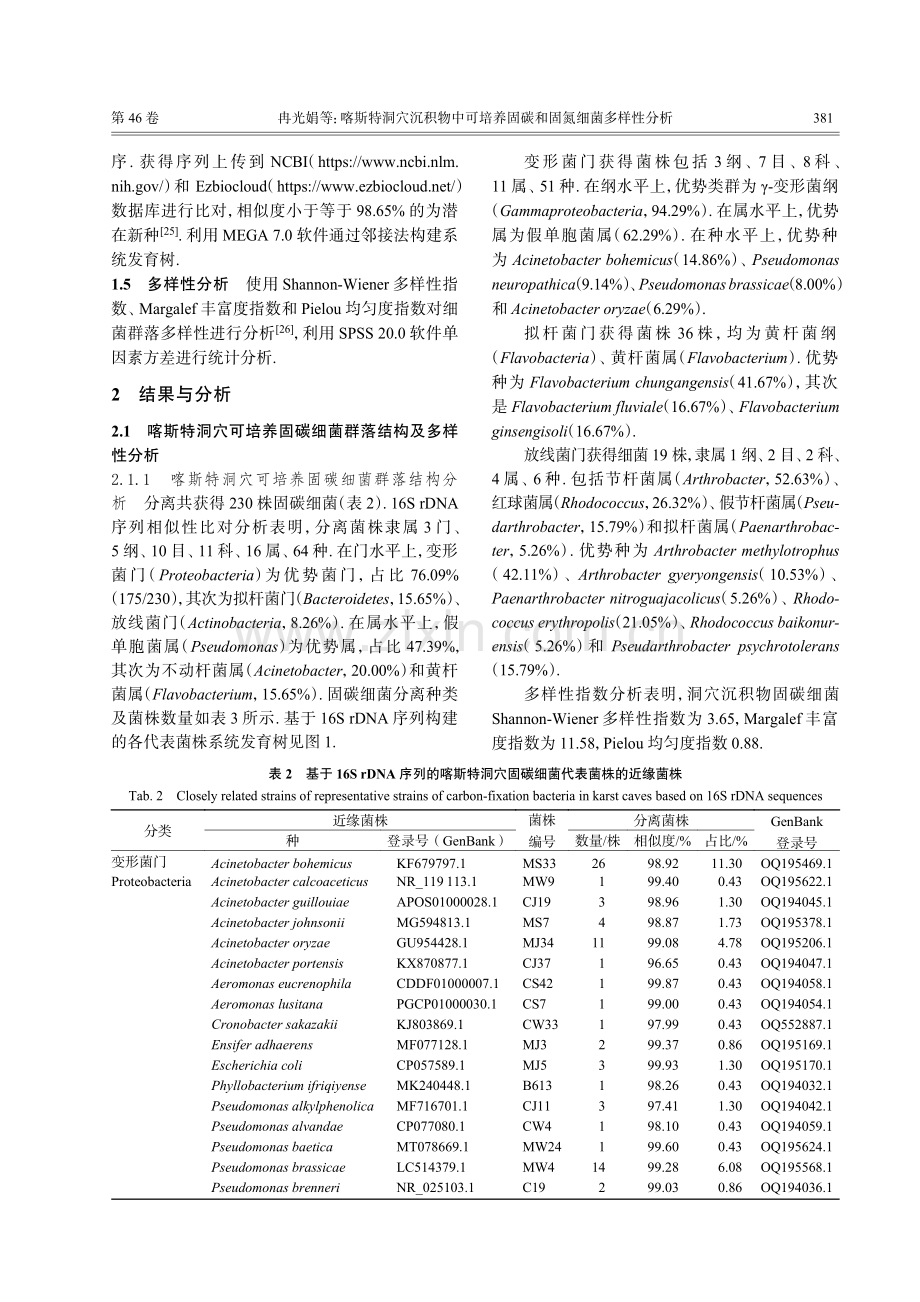 喀斯特洞穴沉积物中可培养固碳和固氮细菌多样性分析.pdf_第3页