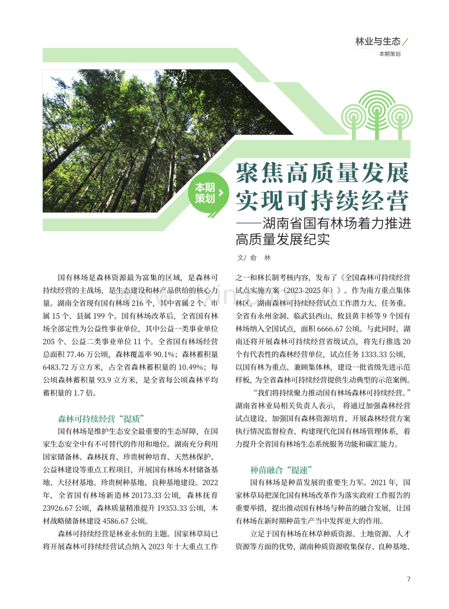 聚焦高质量发展 实现可持续经营——湖南省国有林场着力推进高质量发展纪实.pdf_第1页