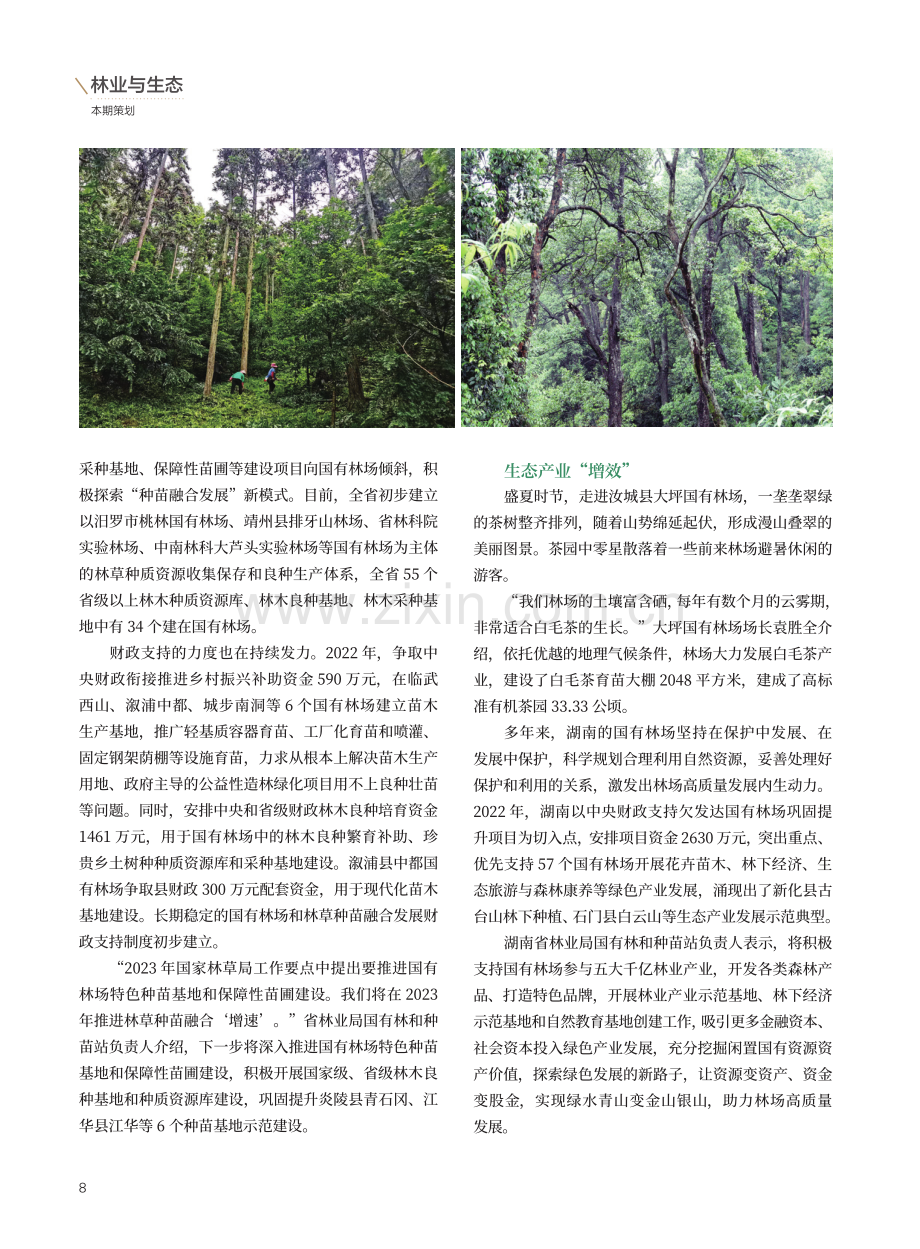 聚焦高质量发展 实现可持续经营——湖南省国有林场着力推进高质量发展纪实.pdf_第2页