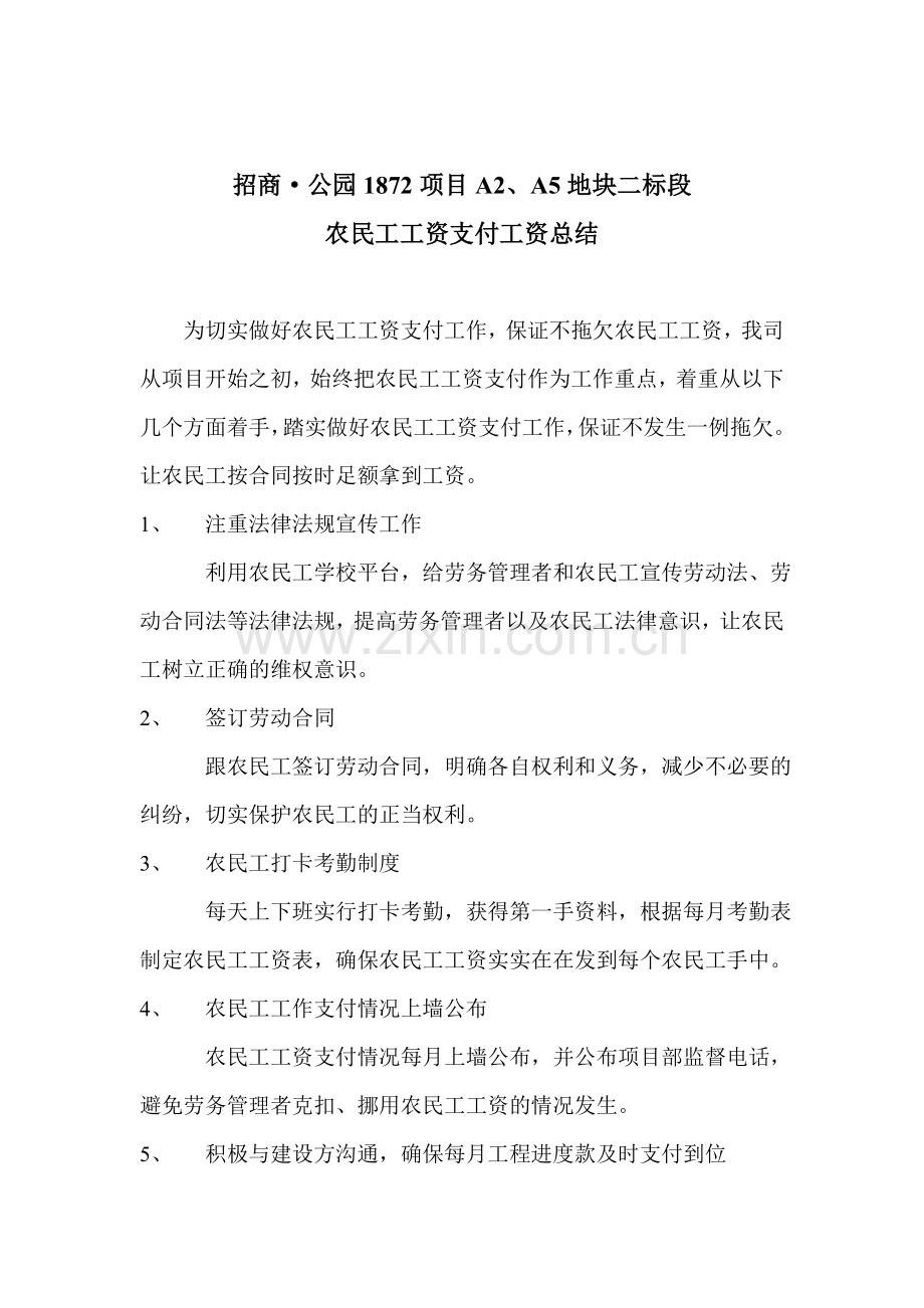 农民工工资支付工作总结.doc_第1页