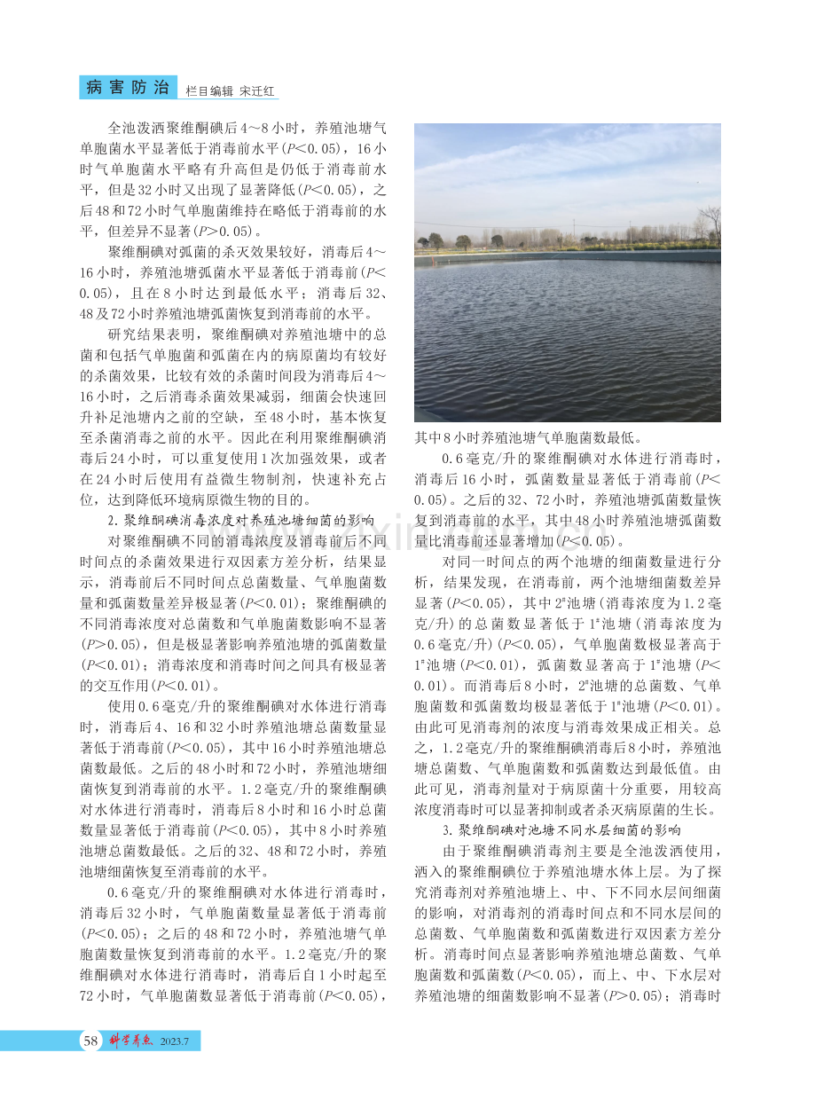 聚维酮碘对池塘消毒效果研究.pdf_第2页