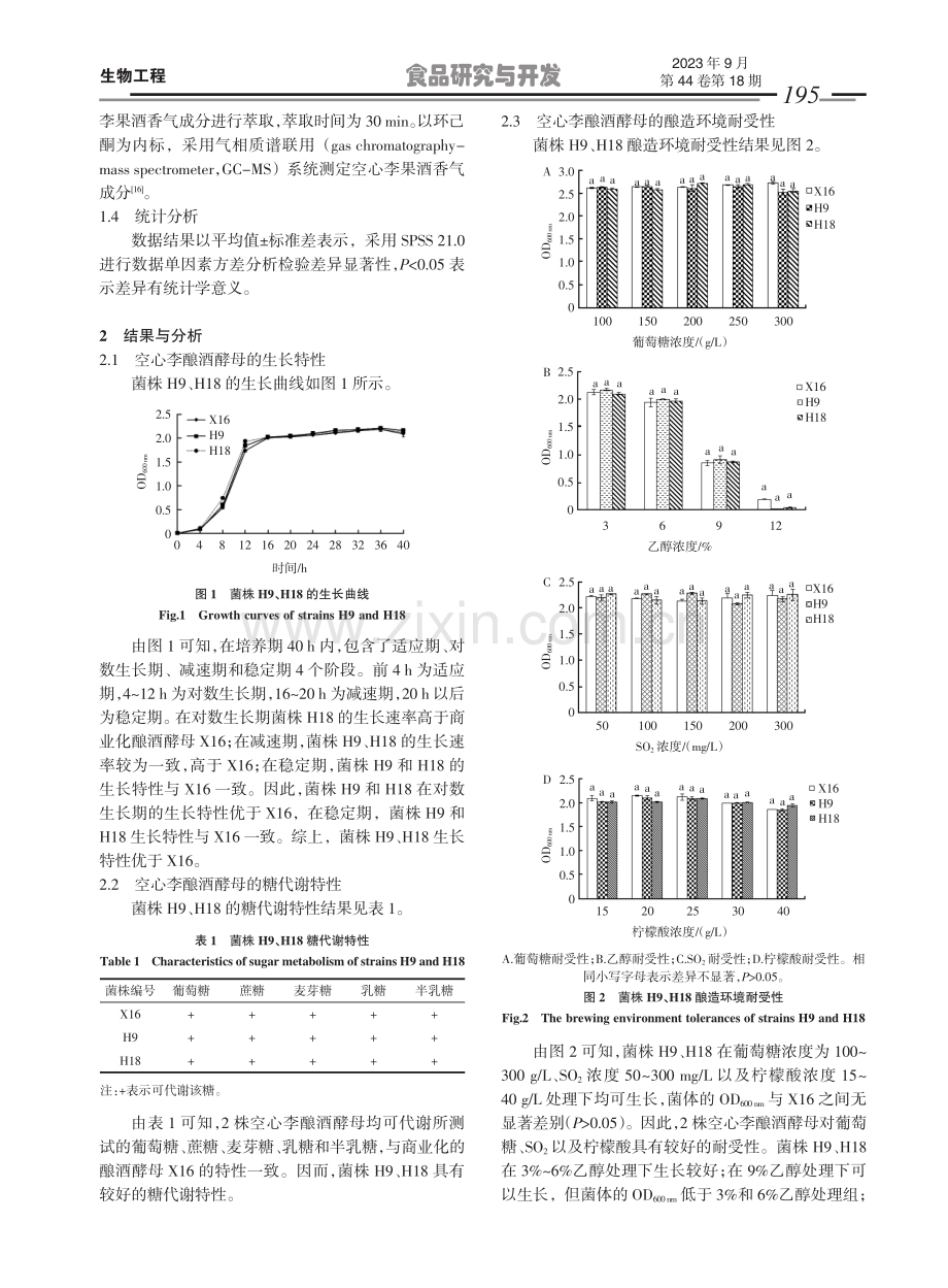 空心李酿酒酵母的酿造学性能分析.pdf_第3页