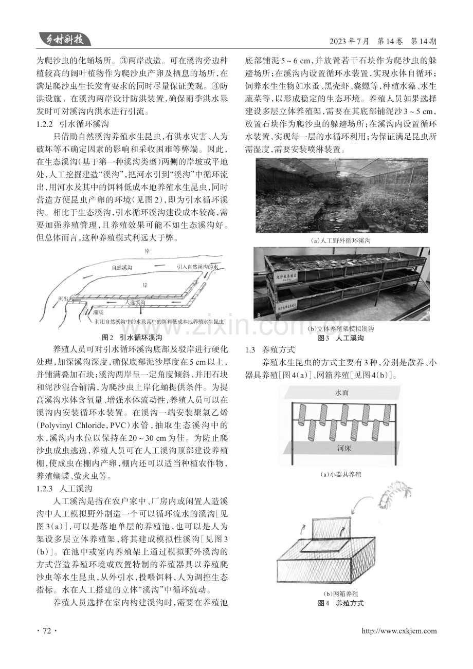 昆虫溪沟经济技术体系构建和产业运作探索——以爬沙虫为例.pdf_第3页