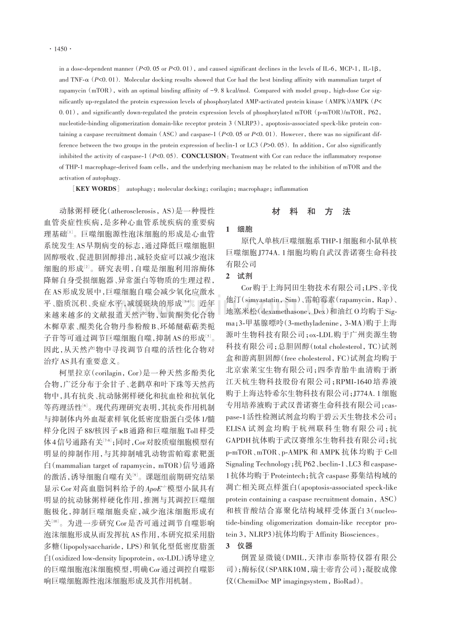 柯里拉京调节自噬影响巨噬细胞源性泡沫细胞形成的研究.pdf_第2页