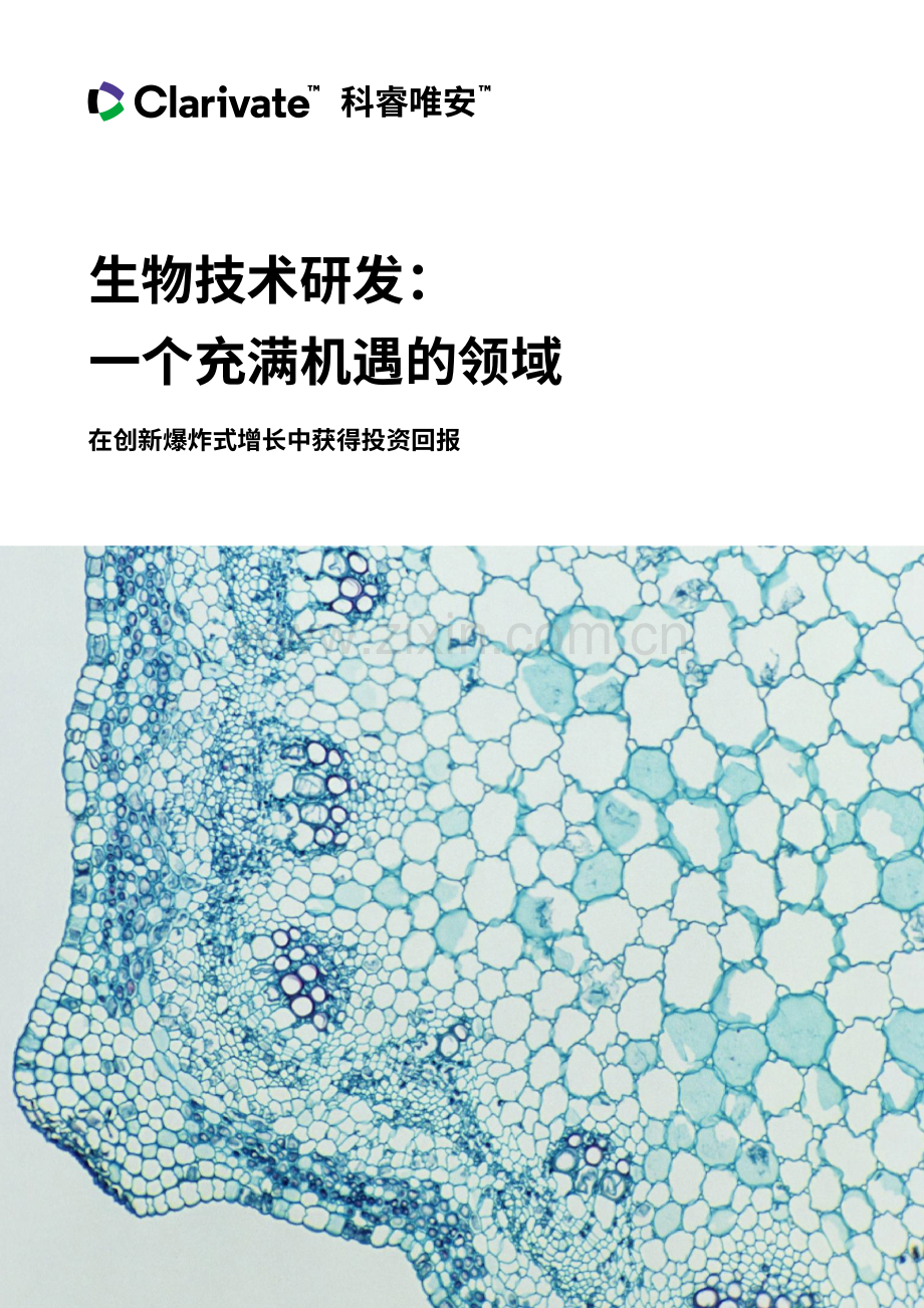 生物技术研发行业报告：一个充满机遇的领域.pdf_第1页