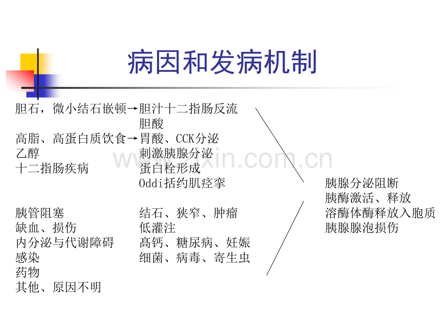 急性胰腺炎专业知识讲座.pptx_第3页