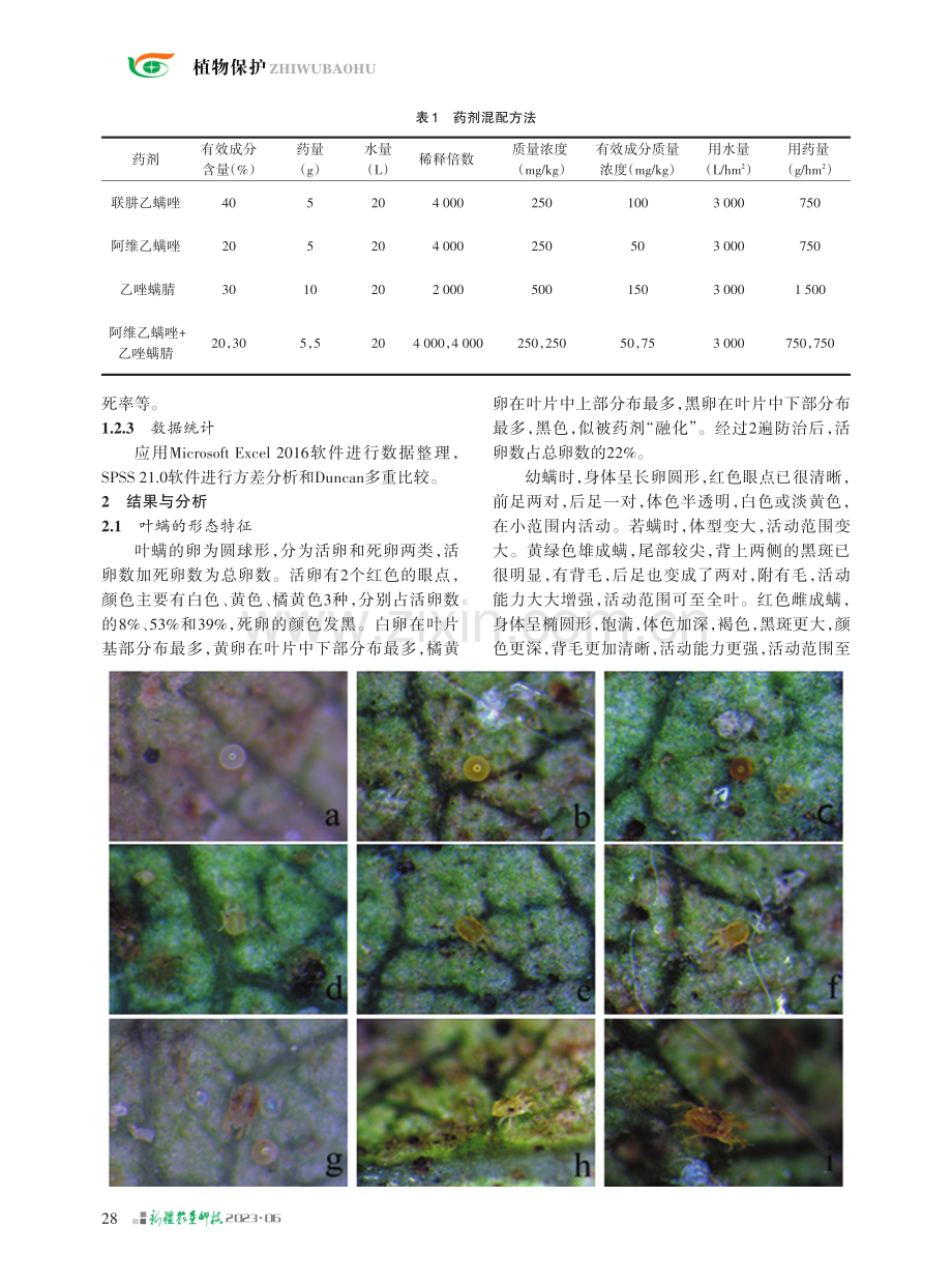 库尔勒香梨叶螨种类初步鉴别及药剂防治研究.pdf_第2页