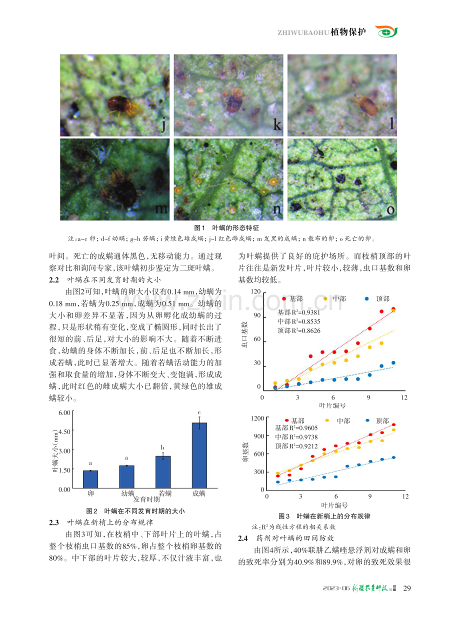 库尔勒香梨叶螨种类初步鉴别及药剂防治研究.pdf_第3页