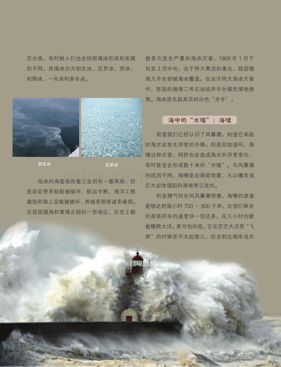 可怕的海洋灾害.pdf_第3页