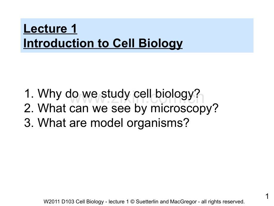 国外大学细胞生物学课件-英文1bioy.ppt_第1页