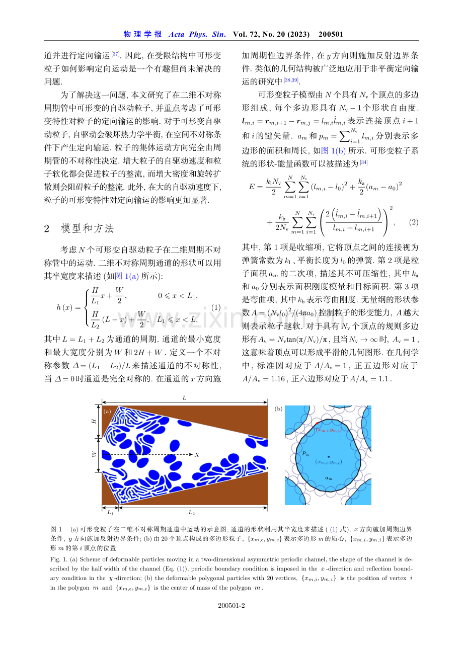 可形变自驱动粒子在不对称周期管中的定向输运.pdf_第2页