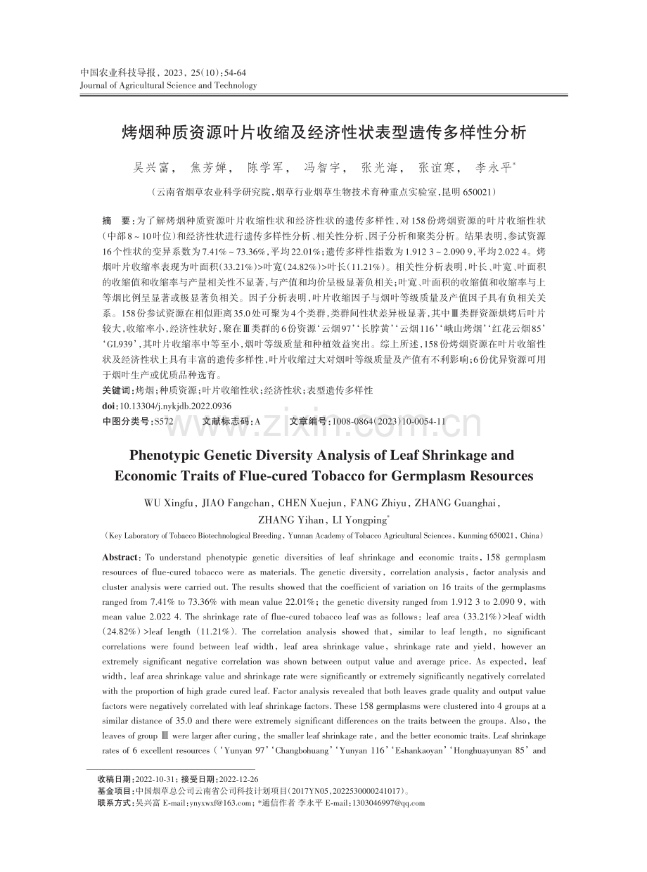 烤烟种质资源叶片收缩及经济性状表型遗传多样性分析.pdf_第1页