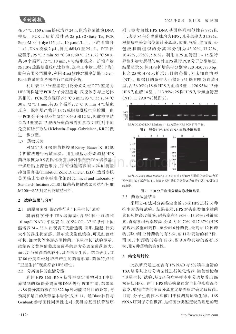 廊坊市副猪嗜血杆菌流行菌株调查和耐药性分析.pdf_第3页