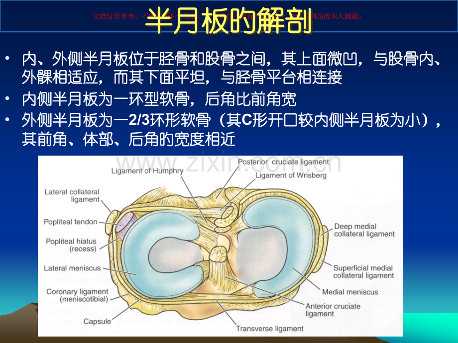 半月板损伤标准课件.pptx_第1页