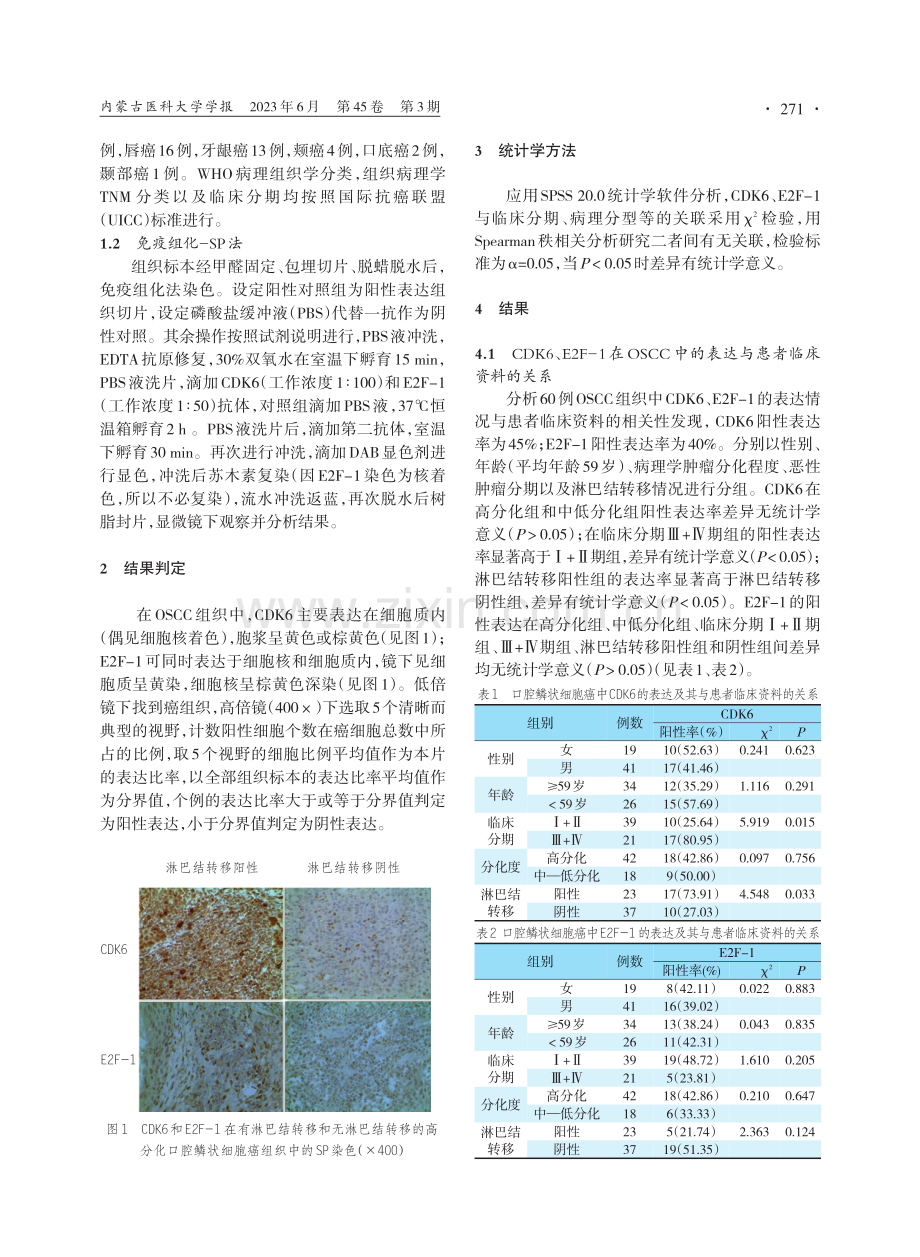 口腔鳞状细胞癌中CDK6、E2F-1的表达及临床意义.pdf_第2页