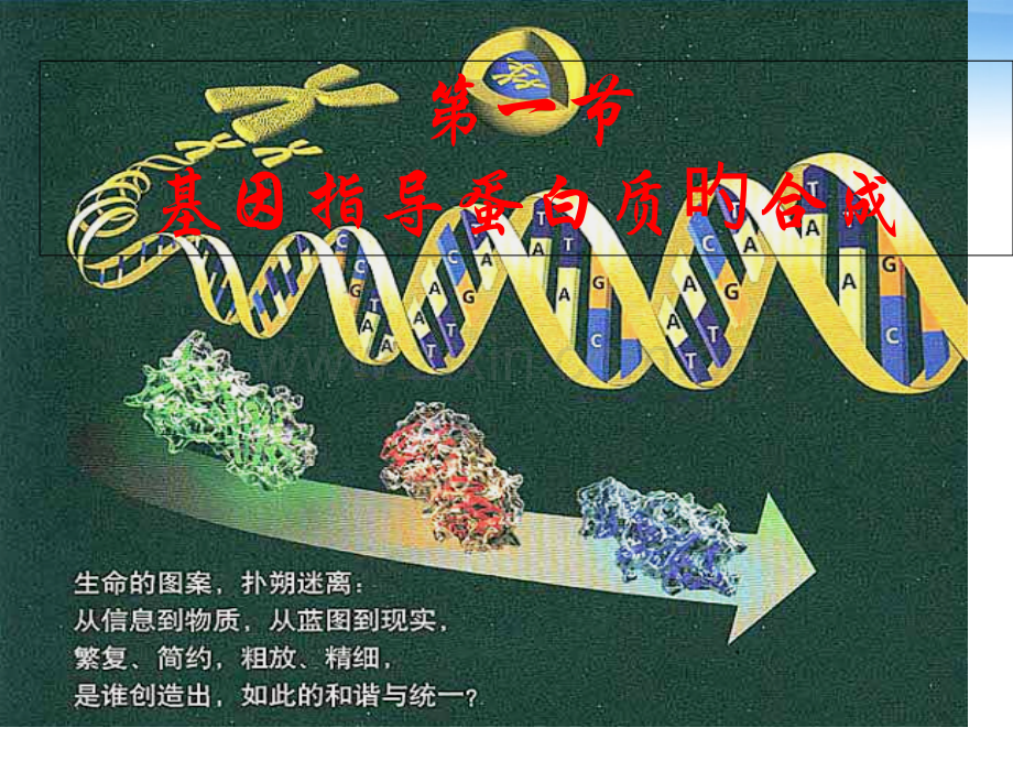 基因的表达专题知识讲座.pptx_第1页