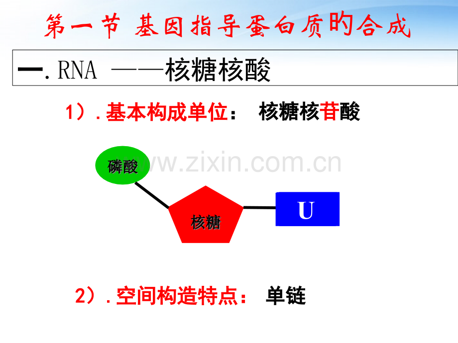 基因的表达专题知识讲座.pptx_第3页