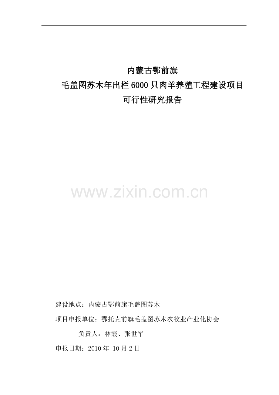 年出栏6000只肉羊养殖工程建设项目可行性研究报告书.doc_第1页