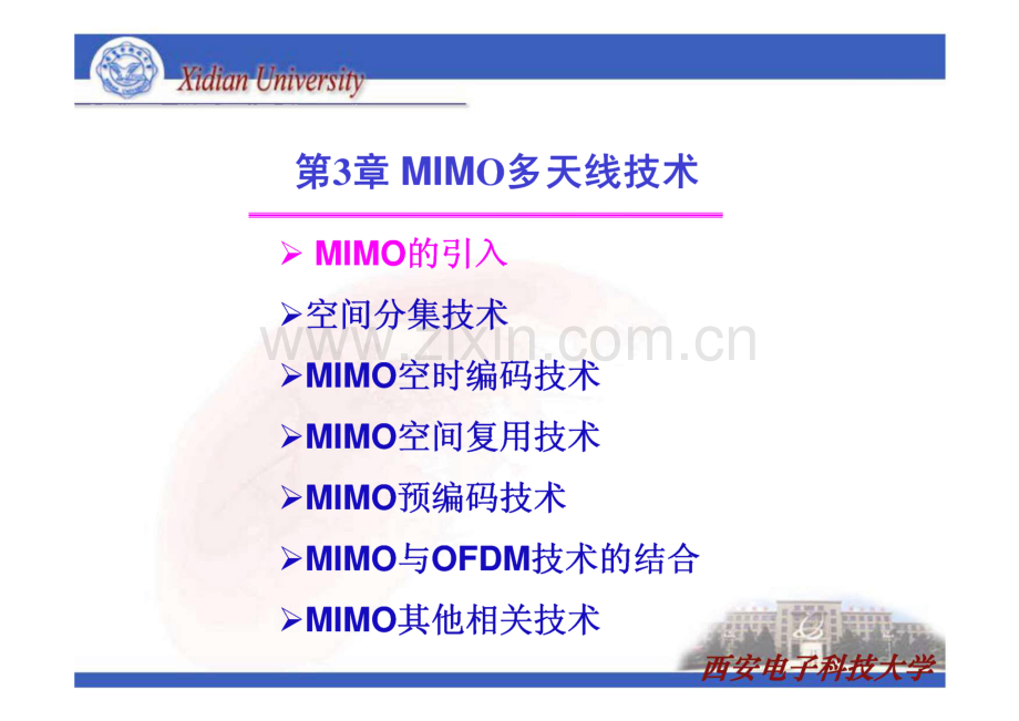 LTE移动通信系统第3章 MIMO多天线技术.pdf_第3页