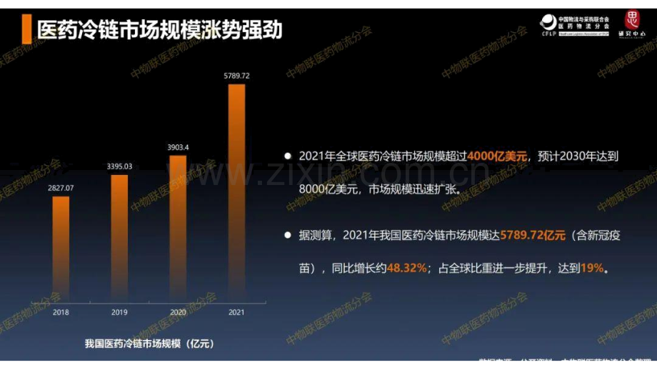 2022年医药冷链运输仓储重点联系企业全景分析报告.pdf_第3页