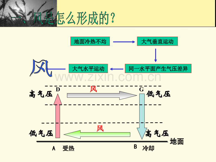 八上科学.pptx_第3页