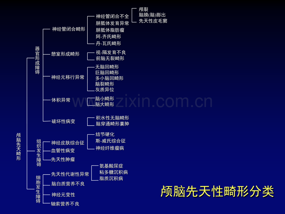 颅脑先天畸形影像系.pptx_第3页