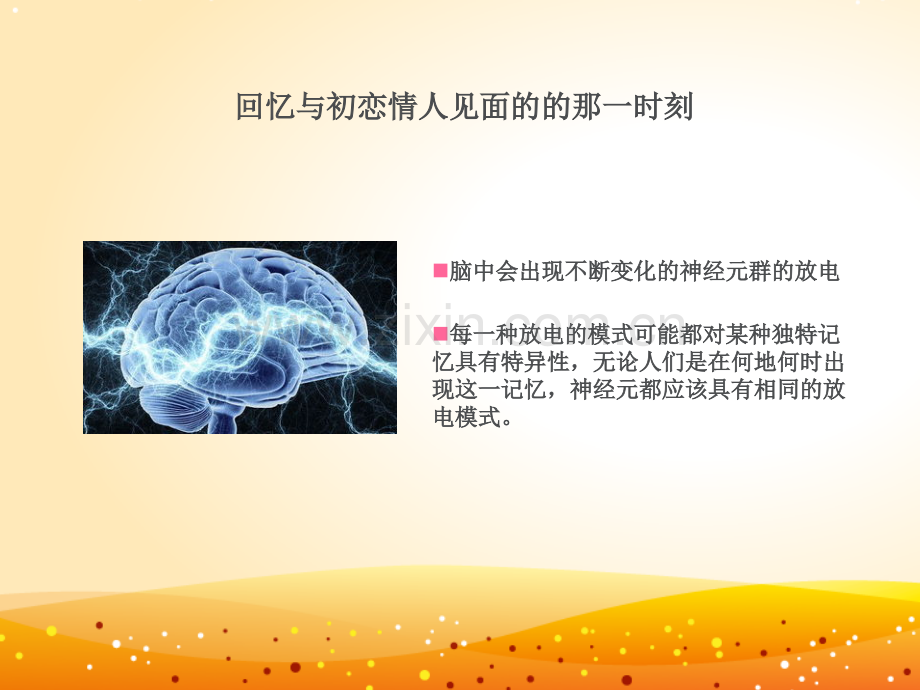 学习与记忆的结构基础.pptx_第2页