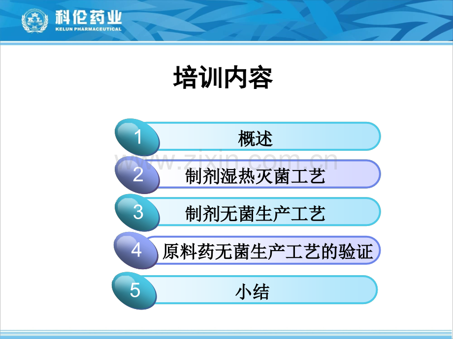 化学药品灭菌无菌工艺验证指导原则培训.pptx_第2页