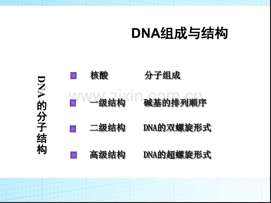 重组DNA技术基础.pptx_第3页