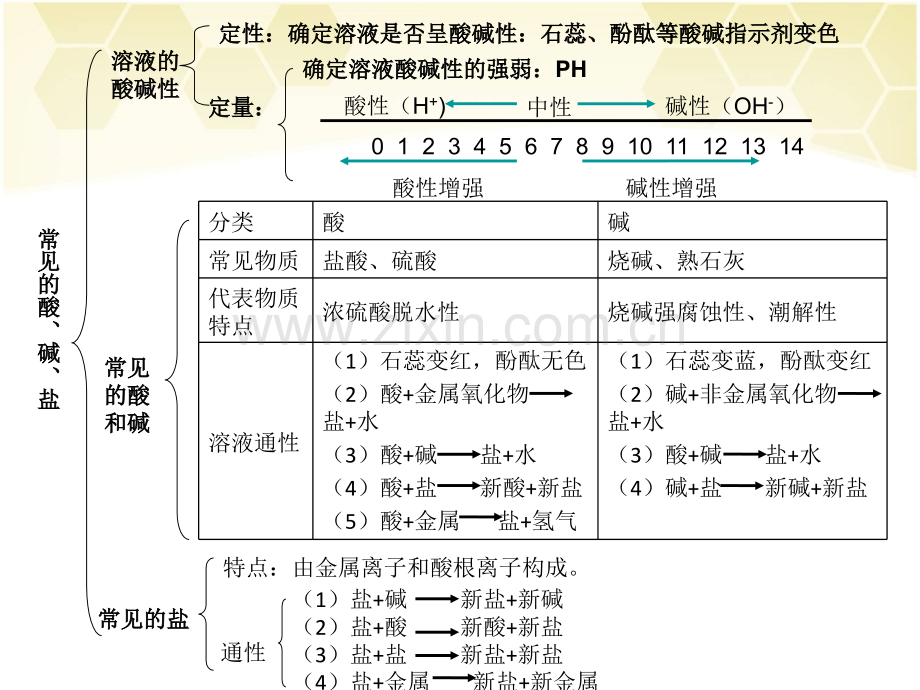 常见的酸碱盐知识网络图.pptx_第2页